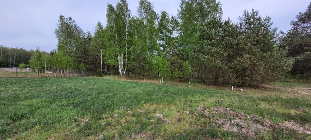 Działka budowlana 1700 m² | WZ | Lipowo gm. Wiązowna | Media w drodze | 250 zł/m² - Widok 4