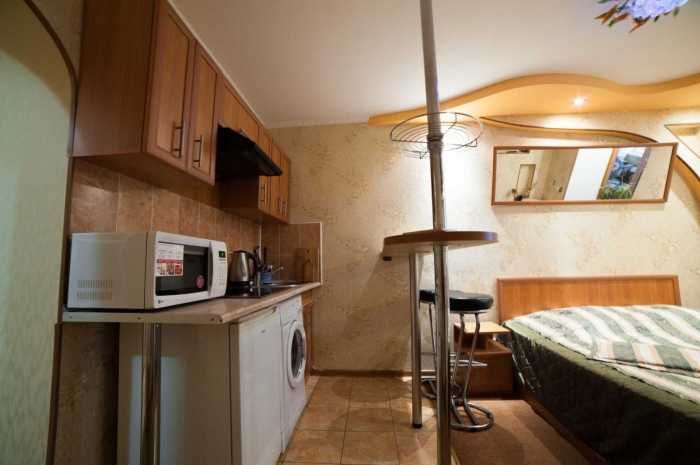 Аренда 1к квартиры Центр (Пушкинское кольцо)