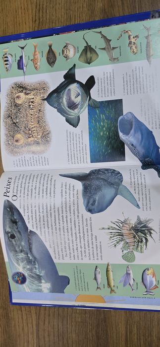 Livro educativo " O Grande Livro dos Oceanos"
