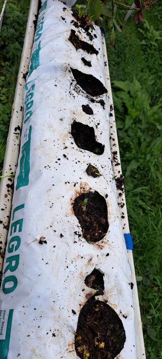 Sprzedam maty uprawowe