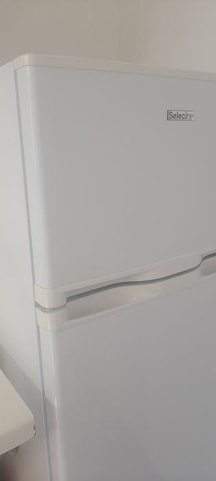 Frigorífico SelecLine 169L