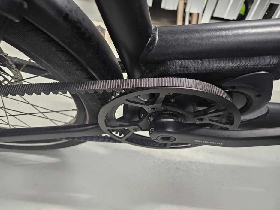 Rower rodziny elektryczny