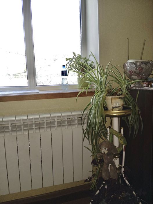 Продаж будинку по вул. Адмірала Ушакова СЕРТИФІКАТ