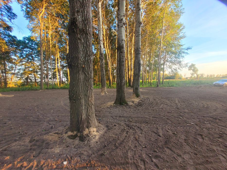 Czarnoziem, humus, siany, trawniki ogrody ziemia siana  nasypy wykopy