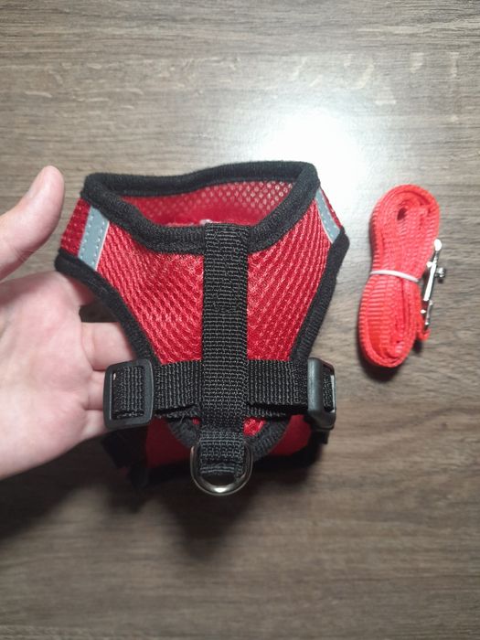 Шлея для котёнка или небольшой кошки