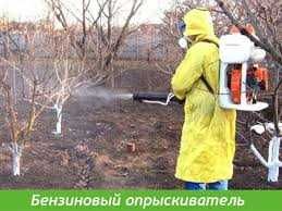 Обприскування саду та городу