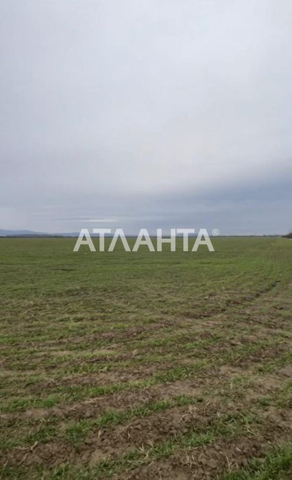 Ділянка в с розівка