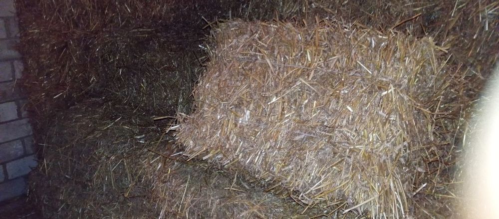 Sprzedam słomę w kostkach