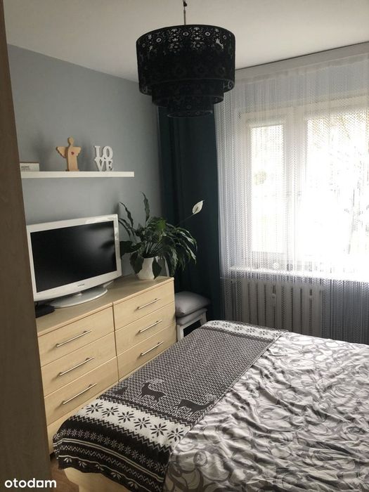 Zdjęcie 5