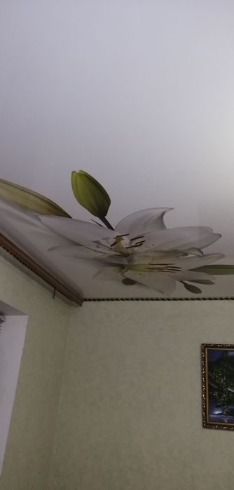 Натяжні стелі! Якість! Гарантія! Натяжные потолки! Від 280гр/м2