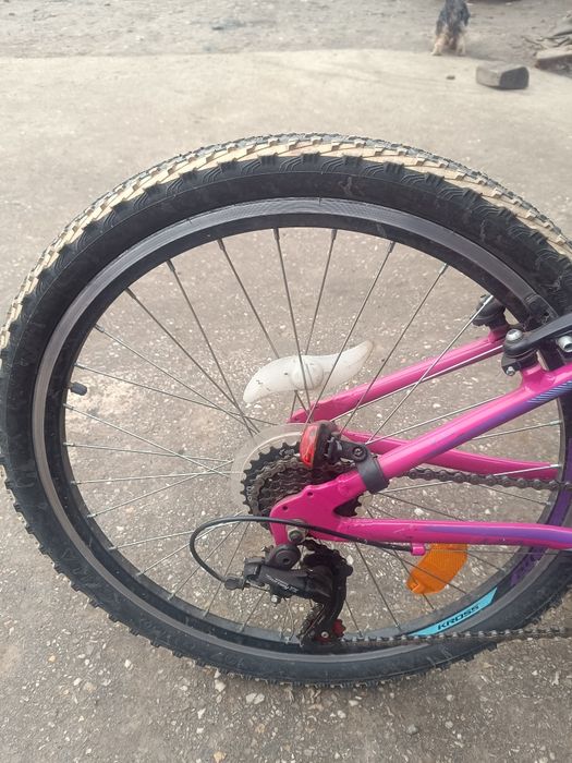 Rower Kross różowy