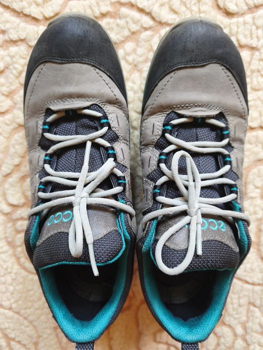 Ecco Biom Terrain Low GTX (41)