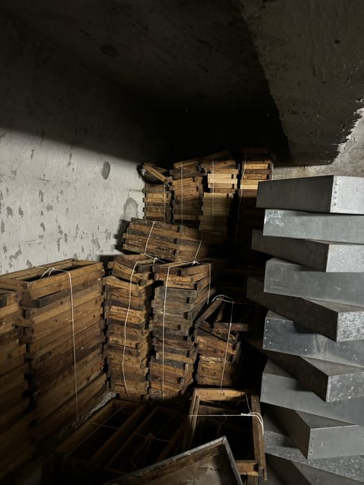 Colmeias favos , ninhos