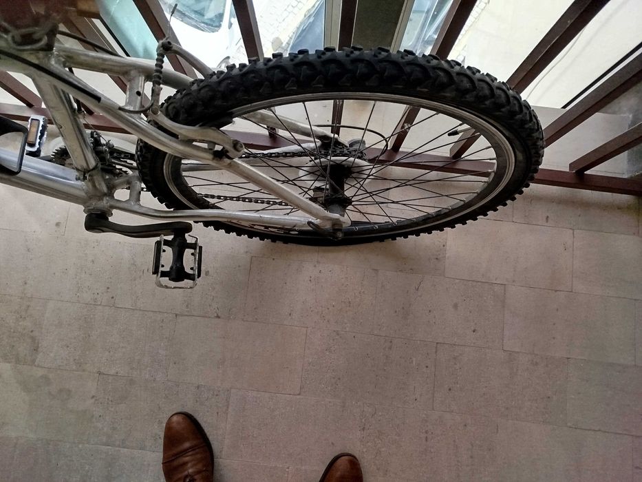 Bicicleta de montanha