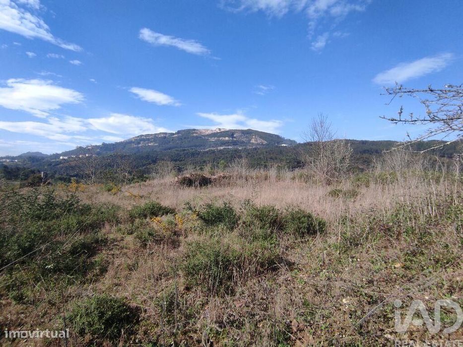 Terreno em Bárrio e Cepões de 66425,00 m2