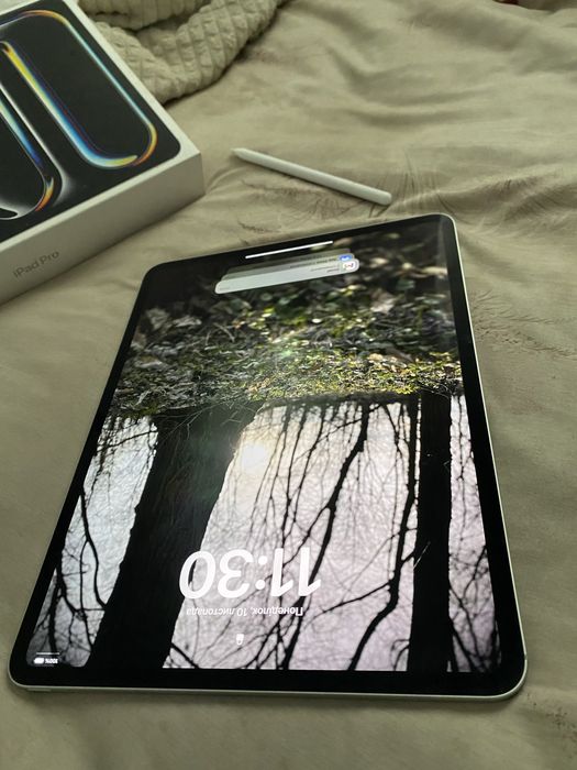 Ipad pro, 13 , m4 , 256 gb