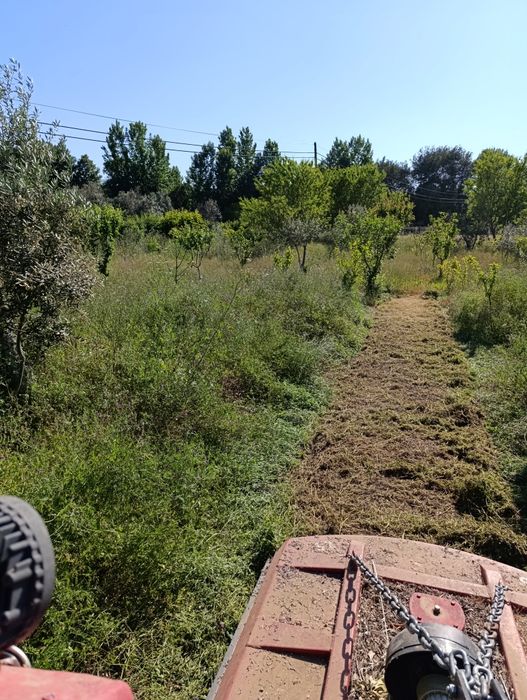 Limpeza de terrenos agrícolas e florestais