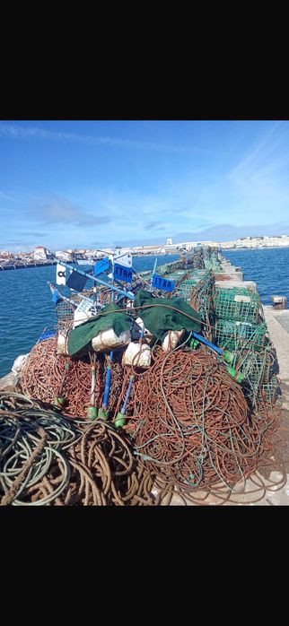 Barco pesca profissional - Peniche - licença covos e outras