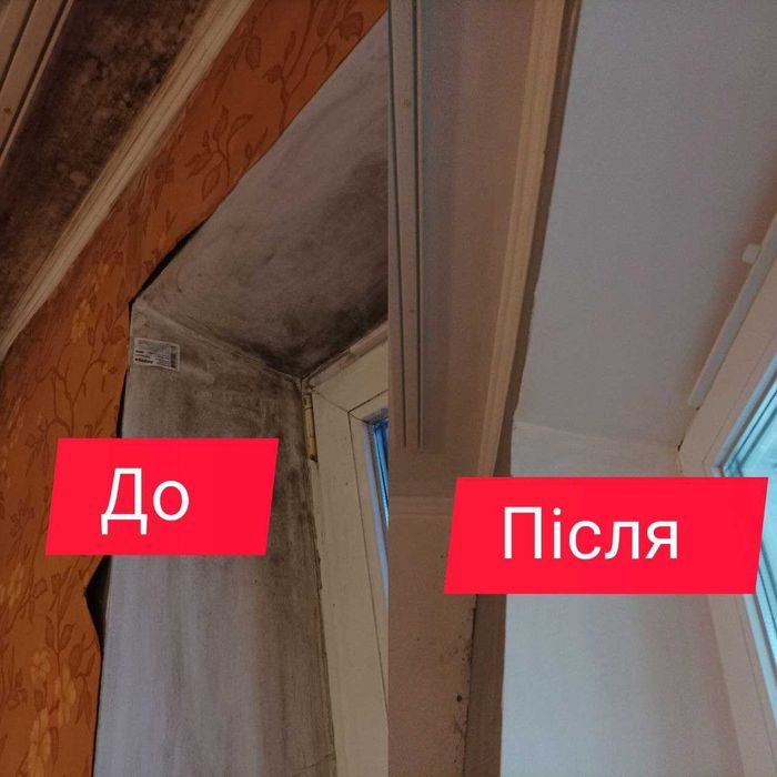 Видалення Цвілі/Грибка. Грибок та Цвіль Плесень