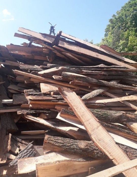 Oflisy iglaste promocja