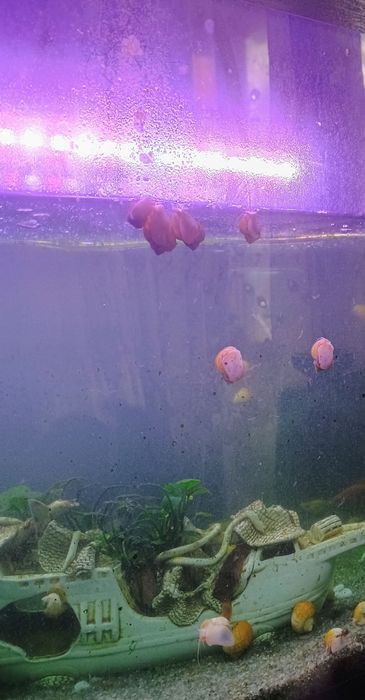 Продам акваріум!