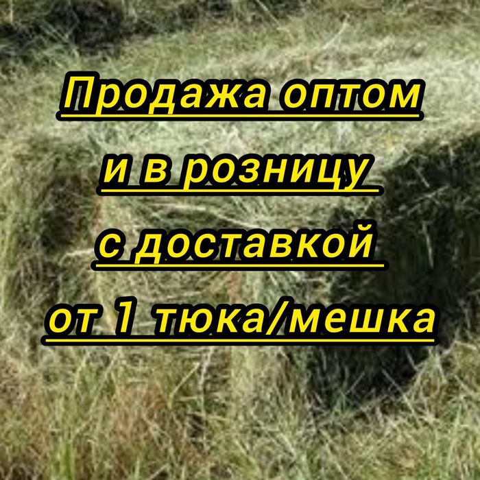 Сено в тюках, сіно солома в тюках мешках, люцерна. Для корма мульчи декора. Доставка.