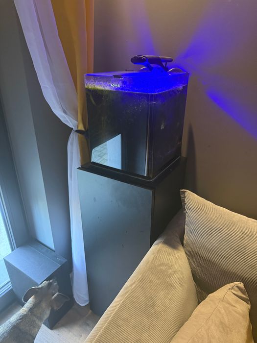 Akwarium Aquael 30L + szafka + filtr + grzałka – komplet