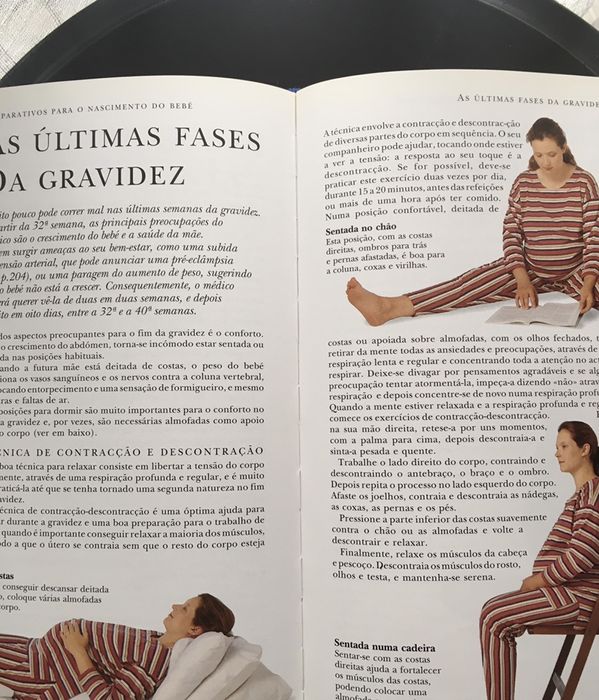 O Grande Livro da Gravidez