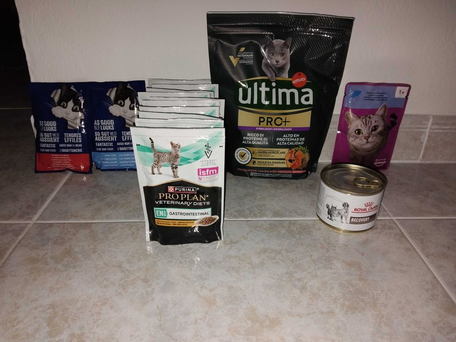 Ração, Saquetas e lata para gato