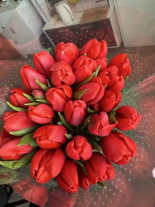 Продажа тюльпана ОПТ/РОЗНИЦА 40 грн