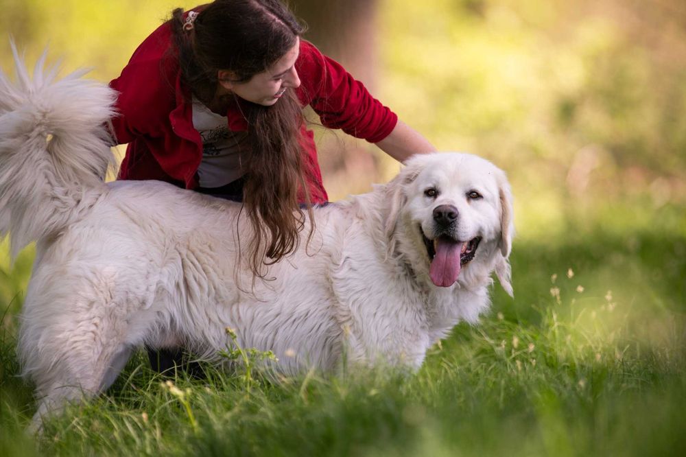 Nazir- wyjątkowy pies, dla wyjątkowego człowieka - do adopcji.