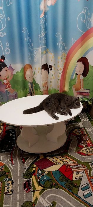 Комод;стіл;крісло