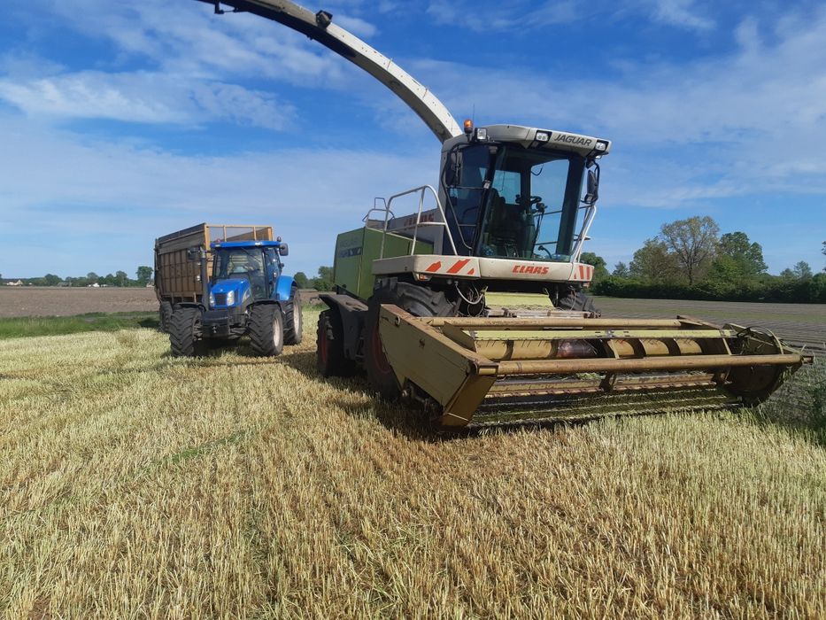 Przystawka do zbioru zielonek niskich,herder, adaptacja Claas
