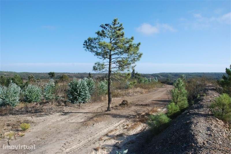 Terreno Rústico Próximo Da Pedralva
