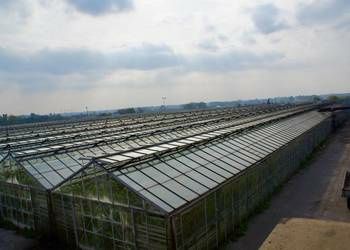 Rozbiórka oraz skup szklarni Cała Polska