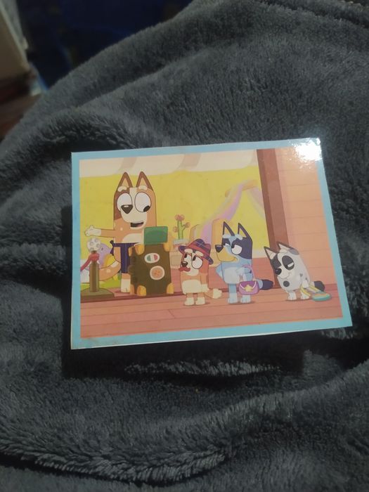 Bluey cromo recuperado - portes grátis