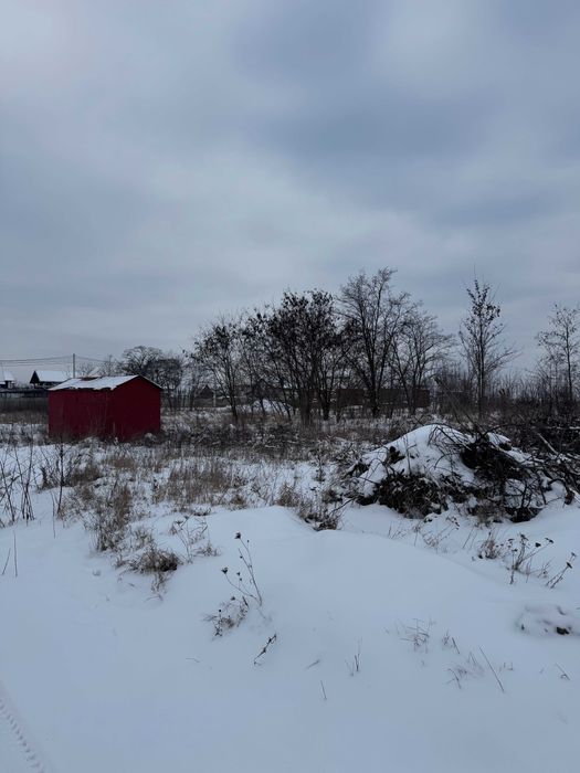 Ділянка від власника Шкуринці масив Поляна