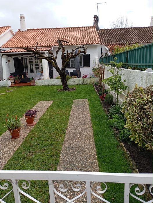 Manutenção de jardins