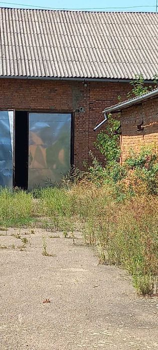 Склад 2500 м2 Закарпаття