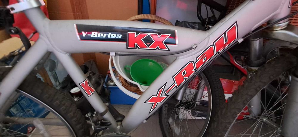 Bicicleta do início do séc. XXI