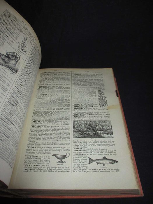 Livro Petit Larousse Illustré 1911