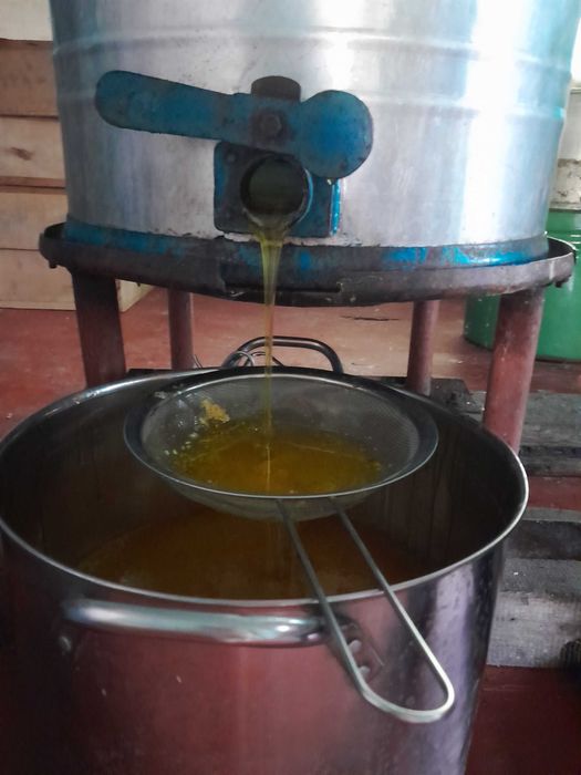Бджолопакети, бджолосімї