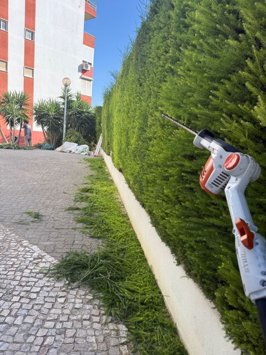 Construcao jardins