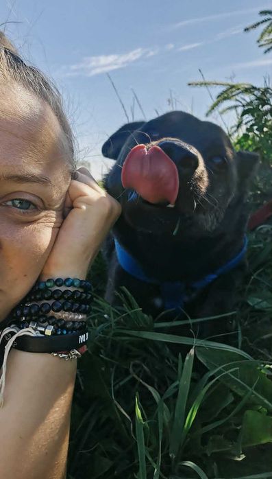 Piękny Bufet do adopcji
