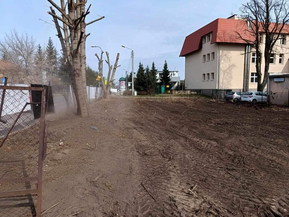 Tania wycinka drzew przycinanie frezowanie korzeni Wertykulacja wywóz