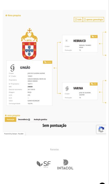 Poldra Lusitana