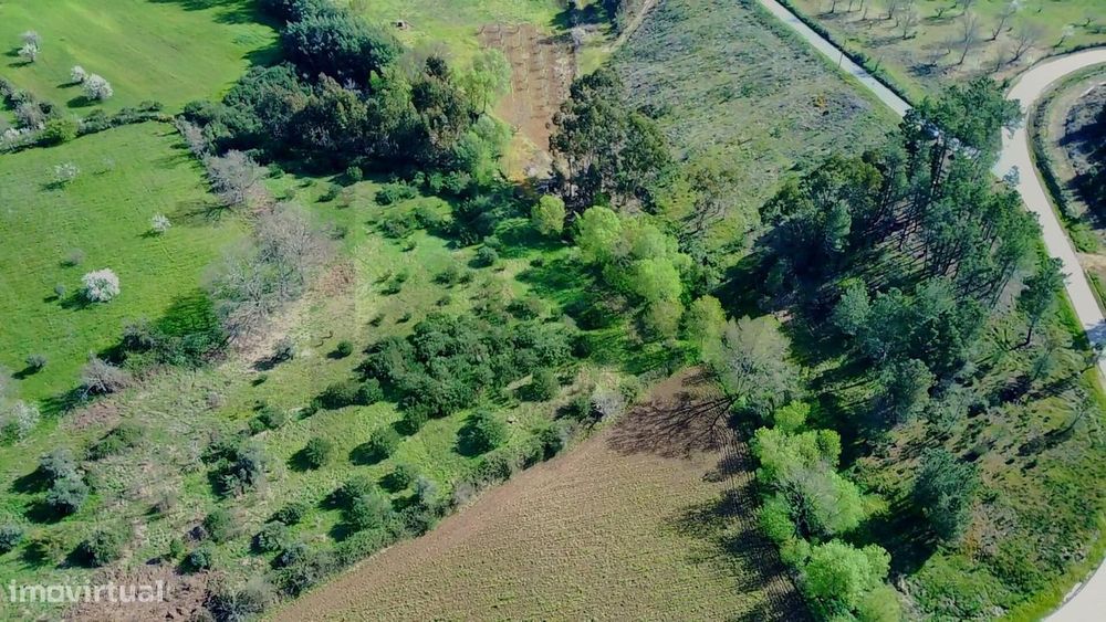 Terreno com 9.500m2 – Enxames, Fundão | Mata, Zona de Cultivo e Ribei