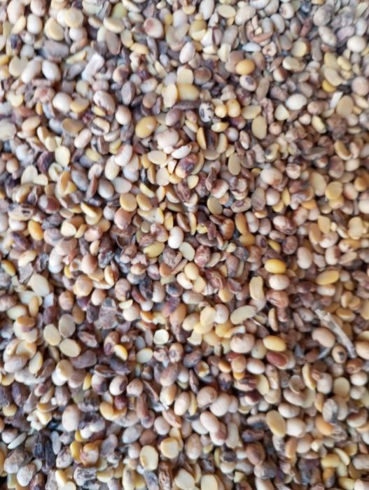 Купляю сою некондицію