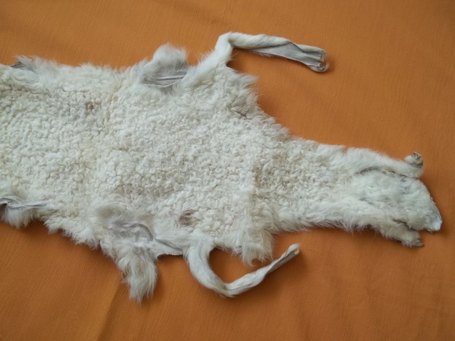 Skóra naturalna karakuł.Karakuł wyprawiona skórka.