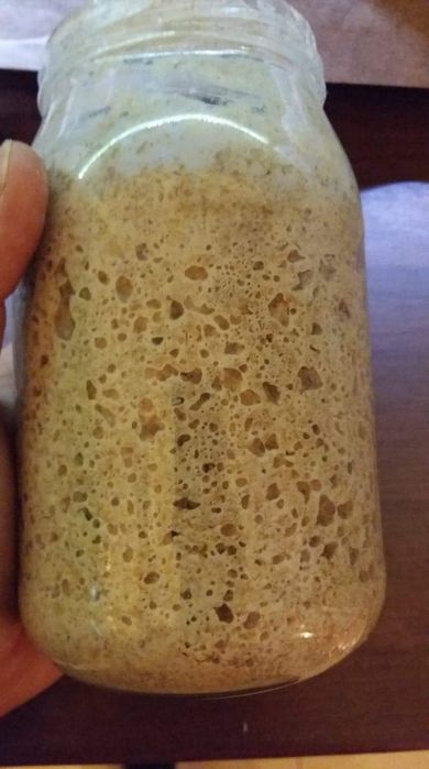 Zakwas żytni na chleb, przepis na chleb, mąka na pierwsze dokarmienie